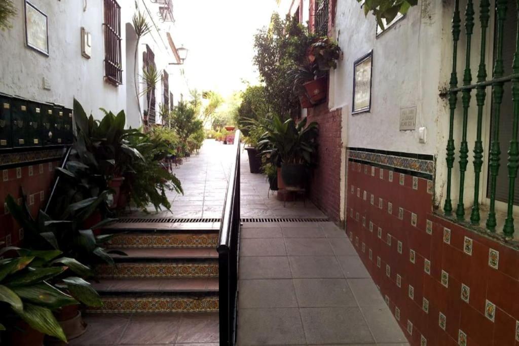 Tipico Y Pintoresco Patio De Vecinos, Con Encanto Seville Luaran gambar