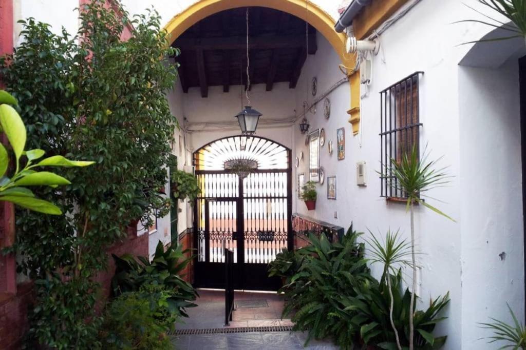 Tipico Y Pintoresco Patio De Vecinos, Con Encanto Seville Luaran gambar