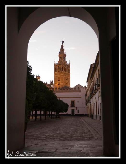 Tipico Y Pintoresco Patio De Vecinos, Con Encanto Seville Luaran gambar