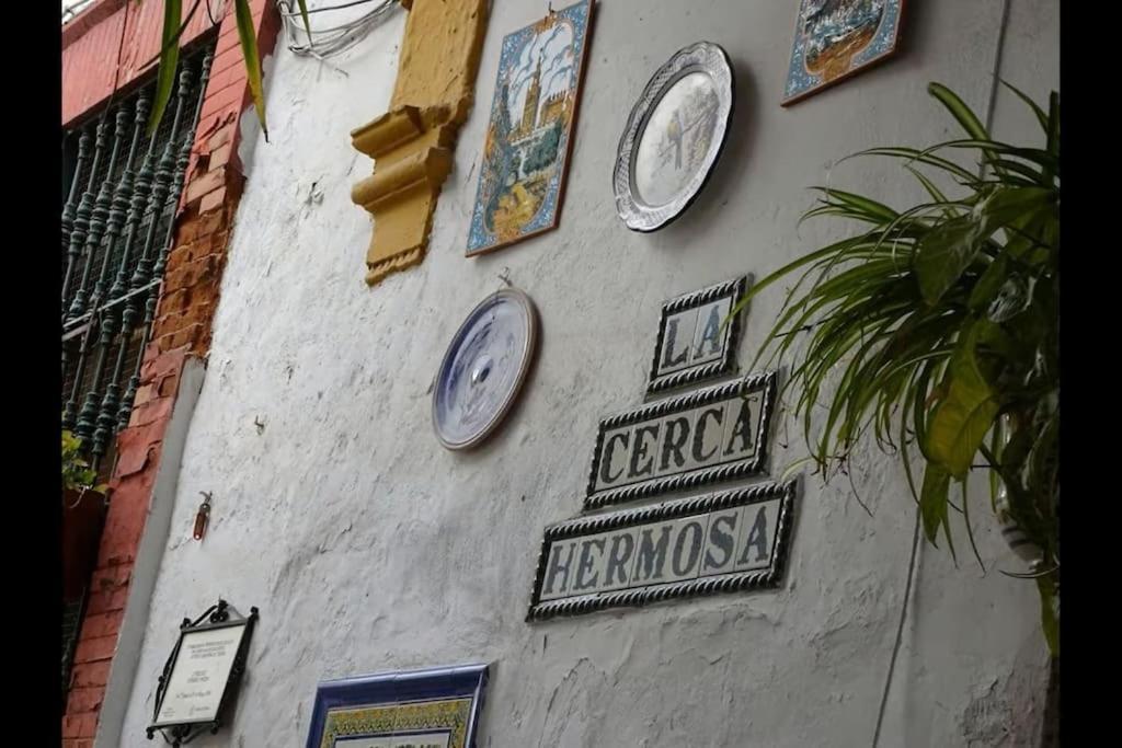 Tipico Y Pintoresco Patio De Vecinos, Con Encanto Seville Luaran gambar